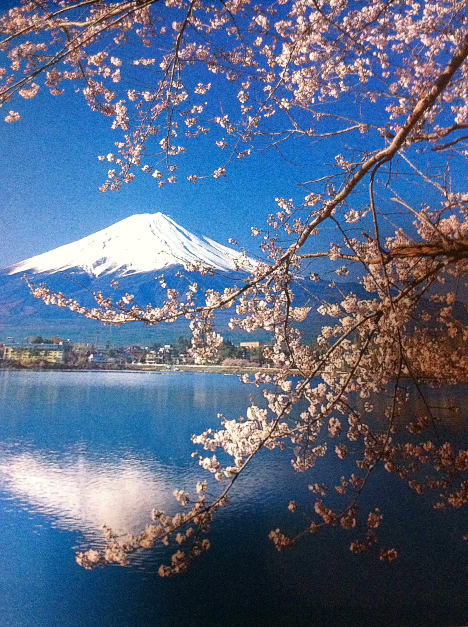 Dibalik Cerita Gunung Fuji Dan Putri Kaguya Ivanprakasacom