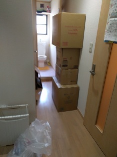 Proses packing pindahan Jepang